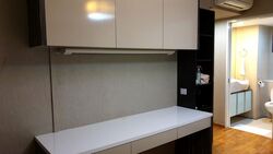 Blk 1 The Pinnacle@Duxton (Bukit Merah), HDB 5 Rooms #502325081